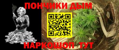 шишки Обнинск