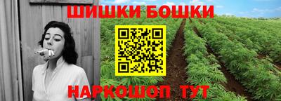 шишки Обнинск