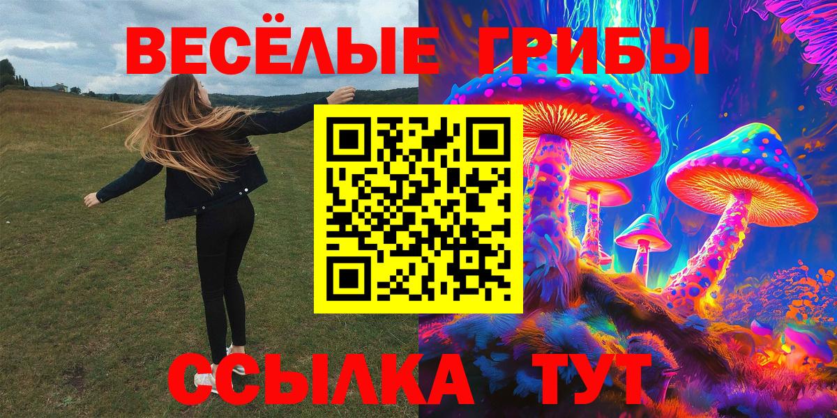 Тамбов  Галлюциногенные грибы мицелий  Вход с VPN  Псилоцибиновые грибы Cubensis 