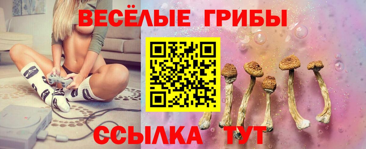 Псилоцибиновые грибы GOLDEN TEACHER Тамбов